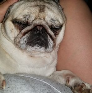 Meet your Posher, Shawna